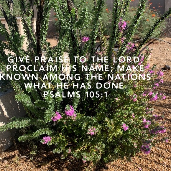 Welcome to My Closet - Picture 3 of 8